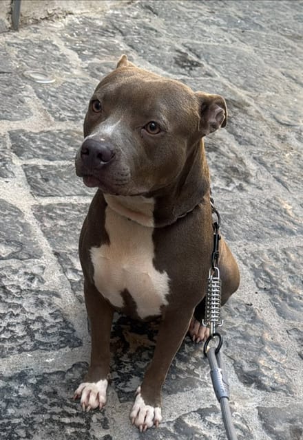 La foto di partenza di Rocco