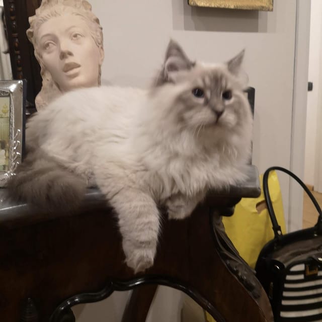La foto di partenza di Holly